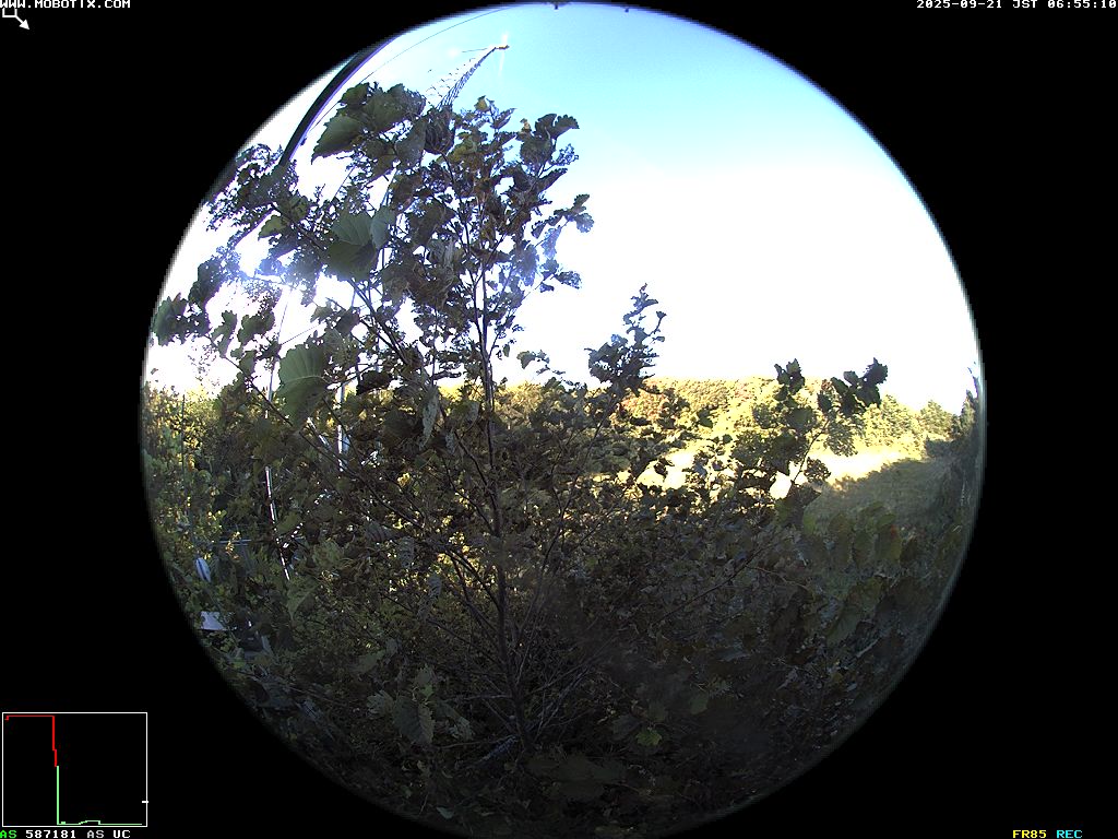 Shift-Reload to Refresh Image